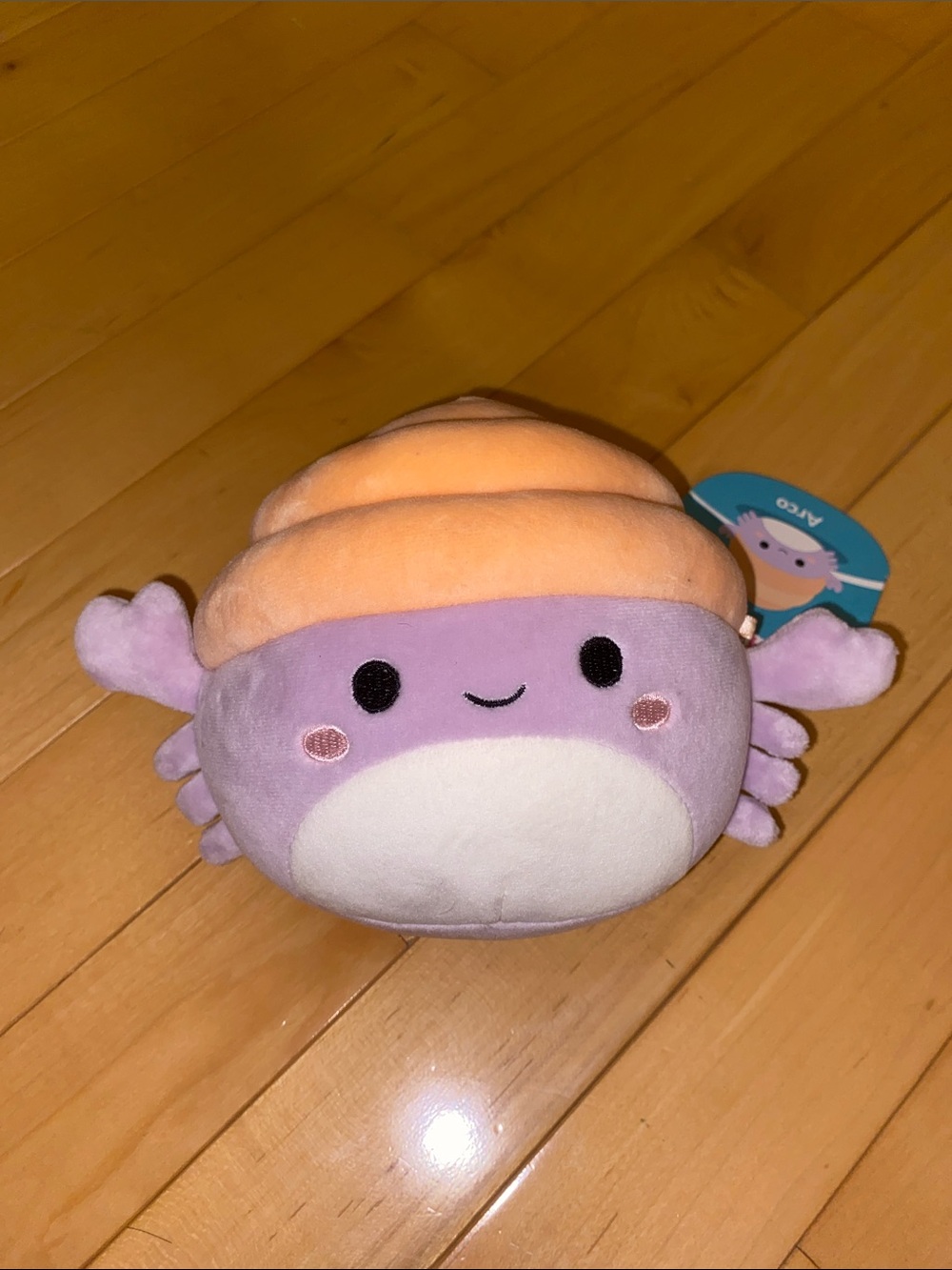 Arco the Hermit Crab 5-inch Squishmallow - BNWT